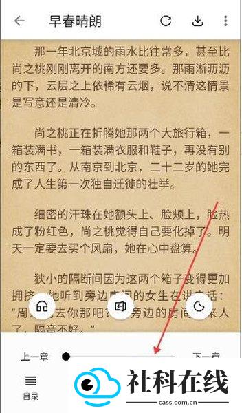 青果小说