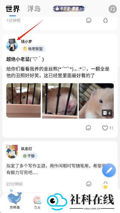 心岛日记app