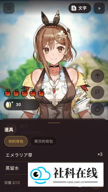 莱莎Ai