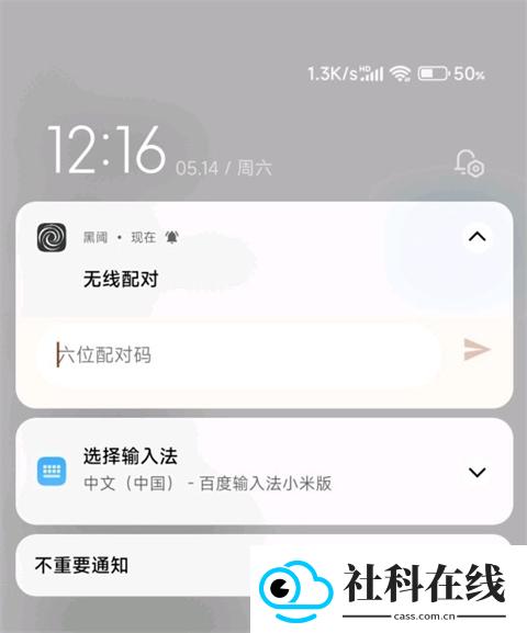 scene5免激活版