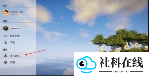 hmclpe启动器