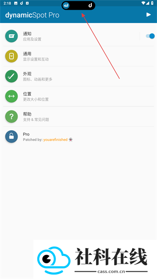 dynamicspot pro