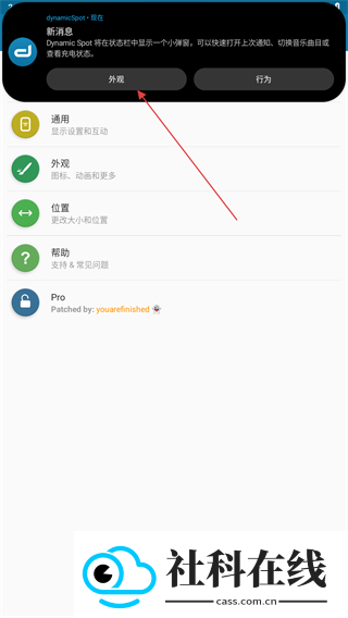 dynamicspot pro