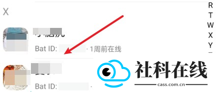 蝙蝠聊天下载
