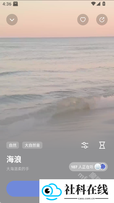 niceday软件