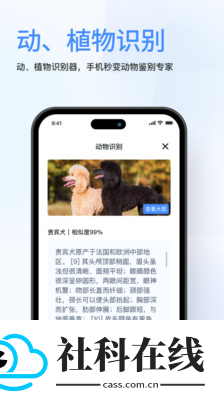 春枫扫描