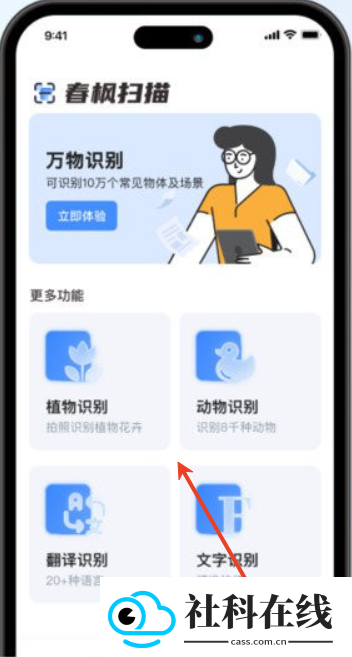 春枫扫描