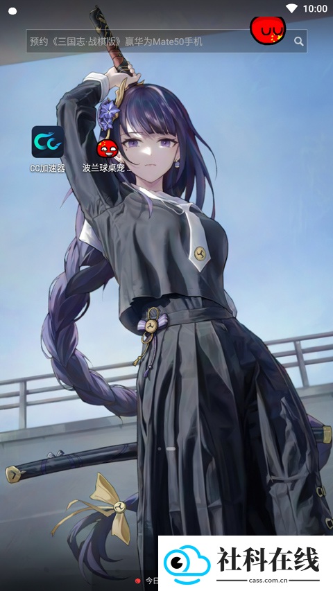 波兰球桌面宠物五常版