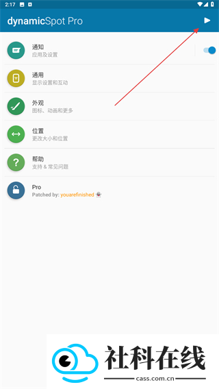 dynamicspot pro