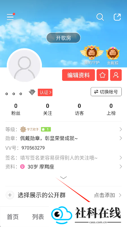 VV音乐