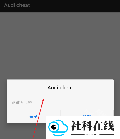 奥迪直装