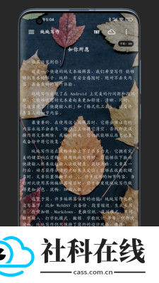 纯纯写作软件