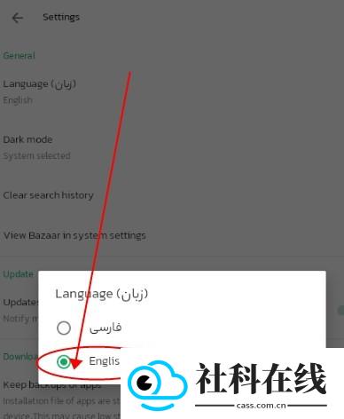 bazaar中文版