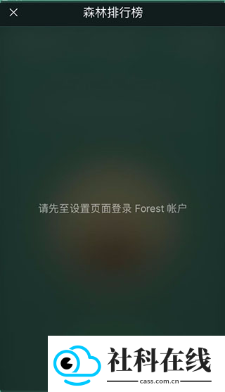 forest专注森林
