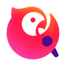 全民k歌手表版