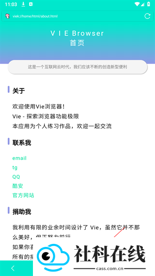 Vie浏览器