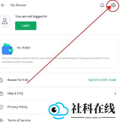 bazaar中文版