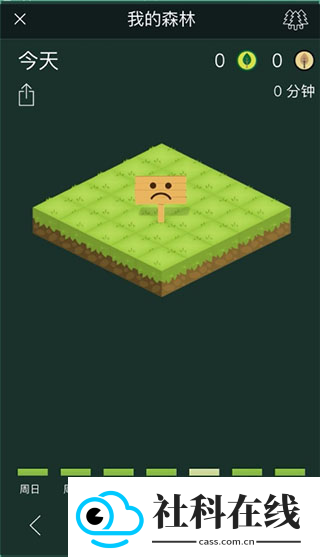 forest专注森林