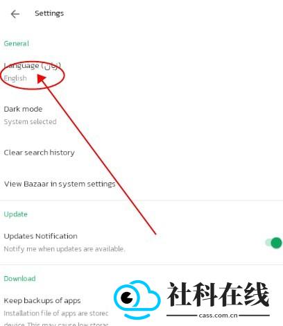 bazaar中文版