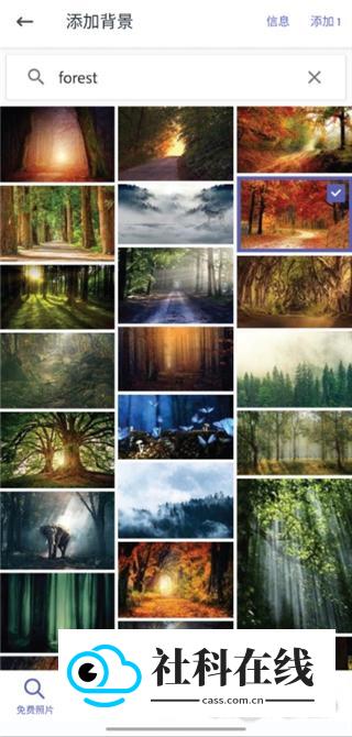Photoshop Express在线版如何创建设计和拼贴2