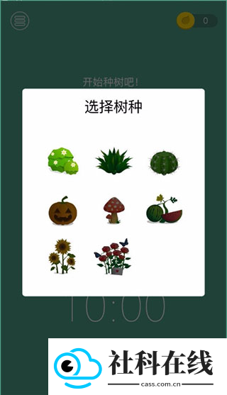 forest专注森林
