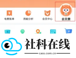 网上国网