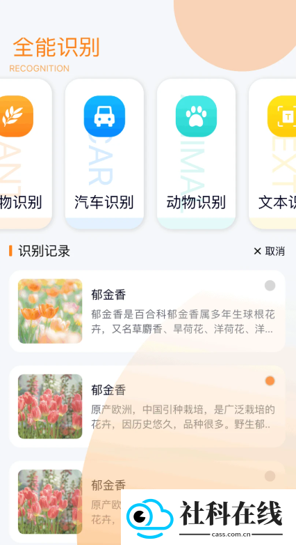 极简工具箱