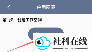 应用隐藏王