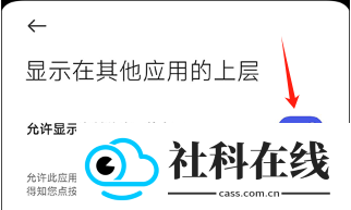 柠檬桌面宠物app