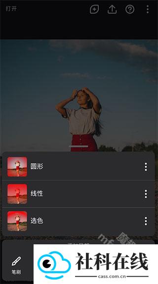 Polarr软件