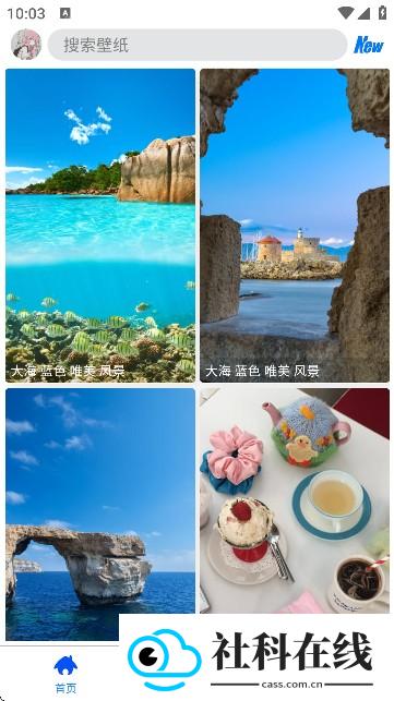 波奇壁纸app