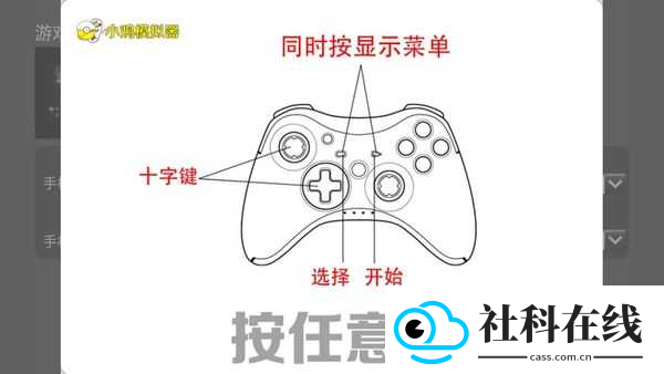 小鸡模拟器tv版