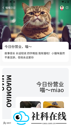 向上