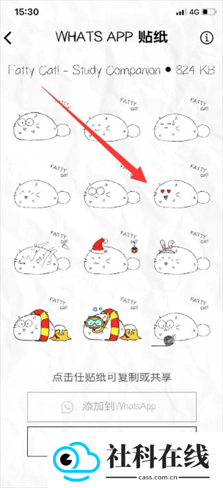 fattycat官方正版