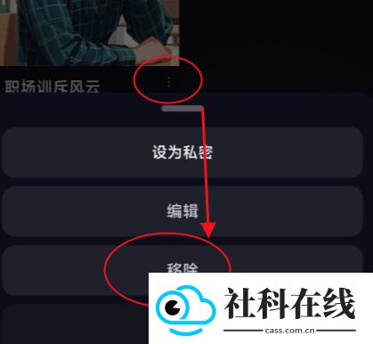 sayloai聊天软件