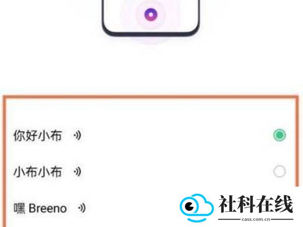 小布指令旧版本