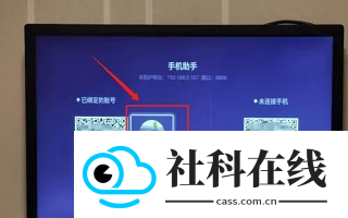 风行电视助手app安卓版