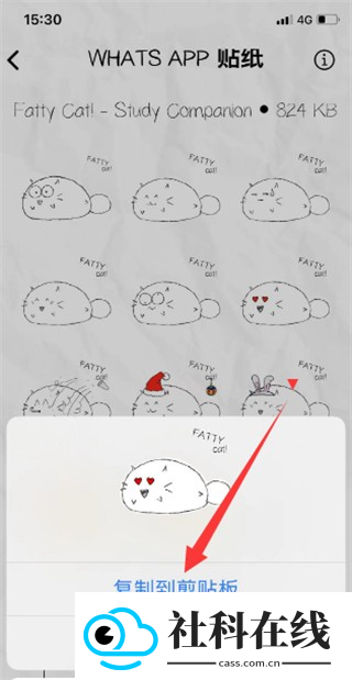 fattycat官方正版