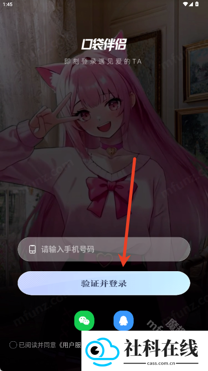 口袋伴侣