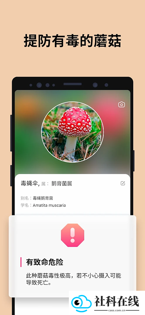 蘑菇识别扫一扫