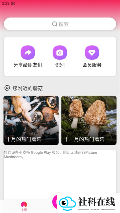 蘑菇识别扫一扫