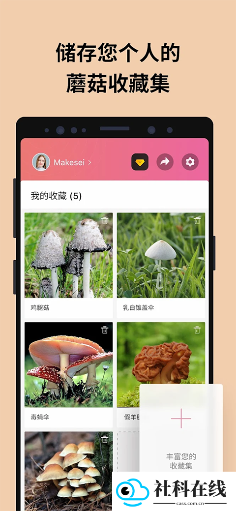 蘑菇识别扫一扫