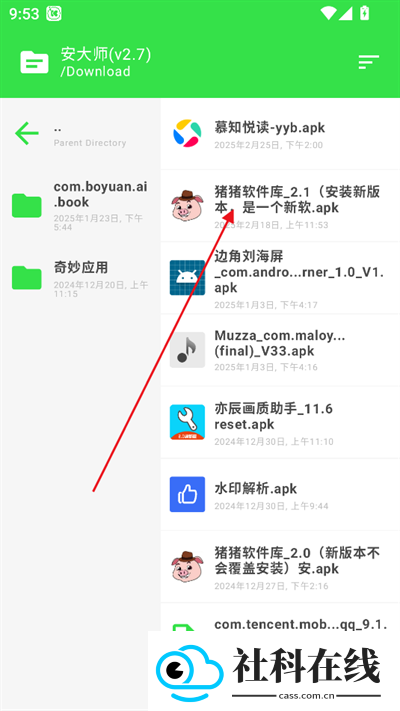 安大师