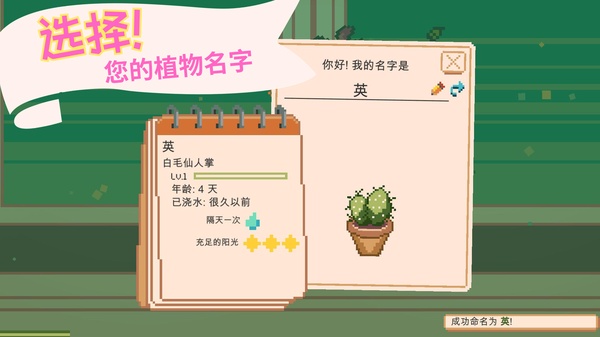 窗边花园游戏免广告