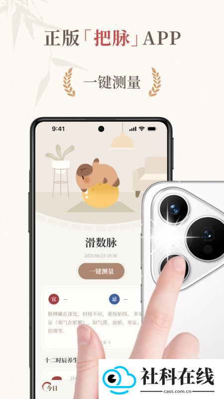 把脉智诊