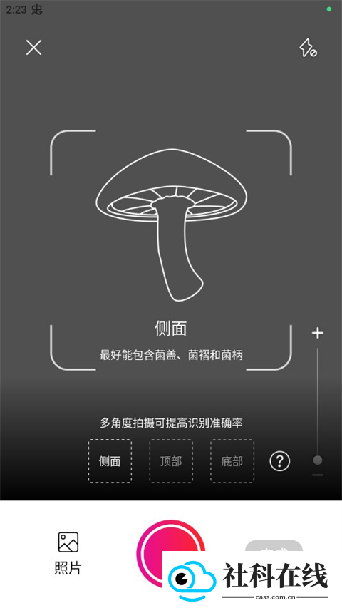 蘑菇识别扫一扫