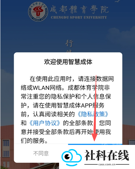 智慧成体