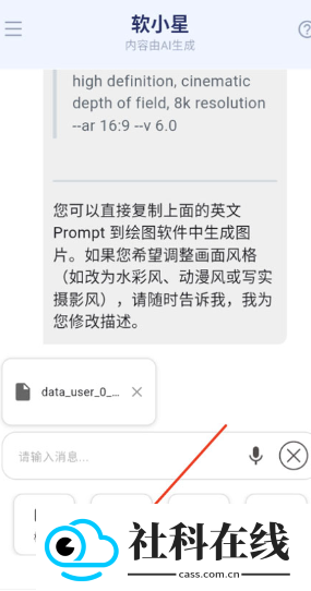 软小星ai