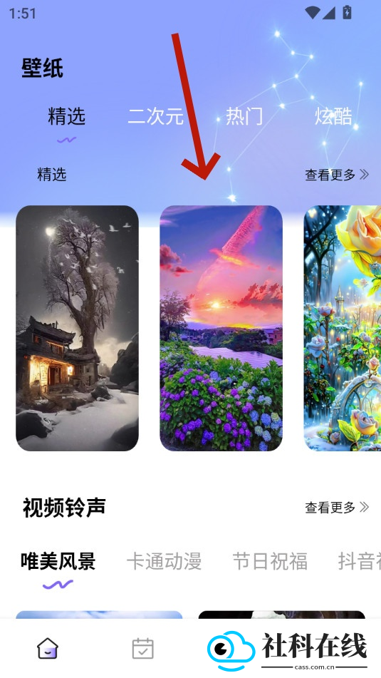 Quin壁纸