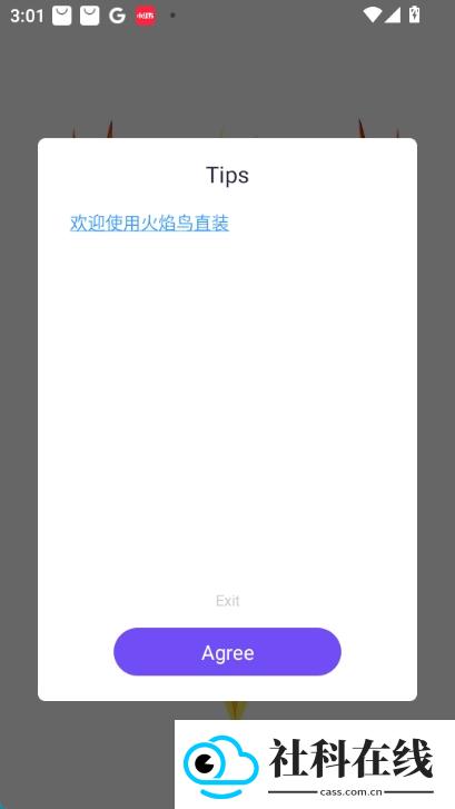 火焰鸟v4